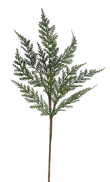 Arborvitae Greenery Spray | Structured Woodland Stem | 24" Spray-XX9434 Craig Bachman