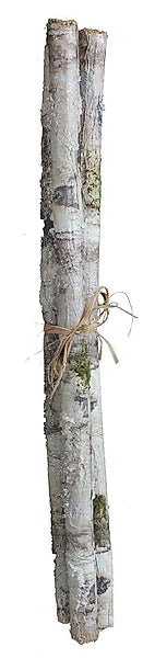 Iced Birch Log Bundle | Rustic Winter Decor Accent | 21" Log Bundle-XE8765 Craig Bachman