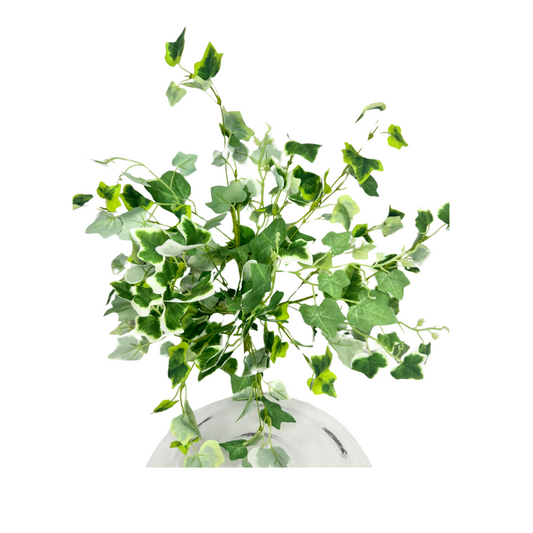 8" Artificial Green/Cream Cottage Ivy Bush- Greenery Accent for Decor - Perfect for DIY Arrangements and Centerpieces-(PM3024-GC) Select Artificials