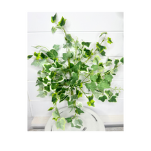 Load image into Gallery viewer, 8&quot; Artificial Green/Cream Cottage Ivy Bush- Greenery Accent for Decor - Perfect for DIY Arrangements and Centerpieces-(PM3024-GC)