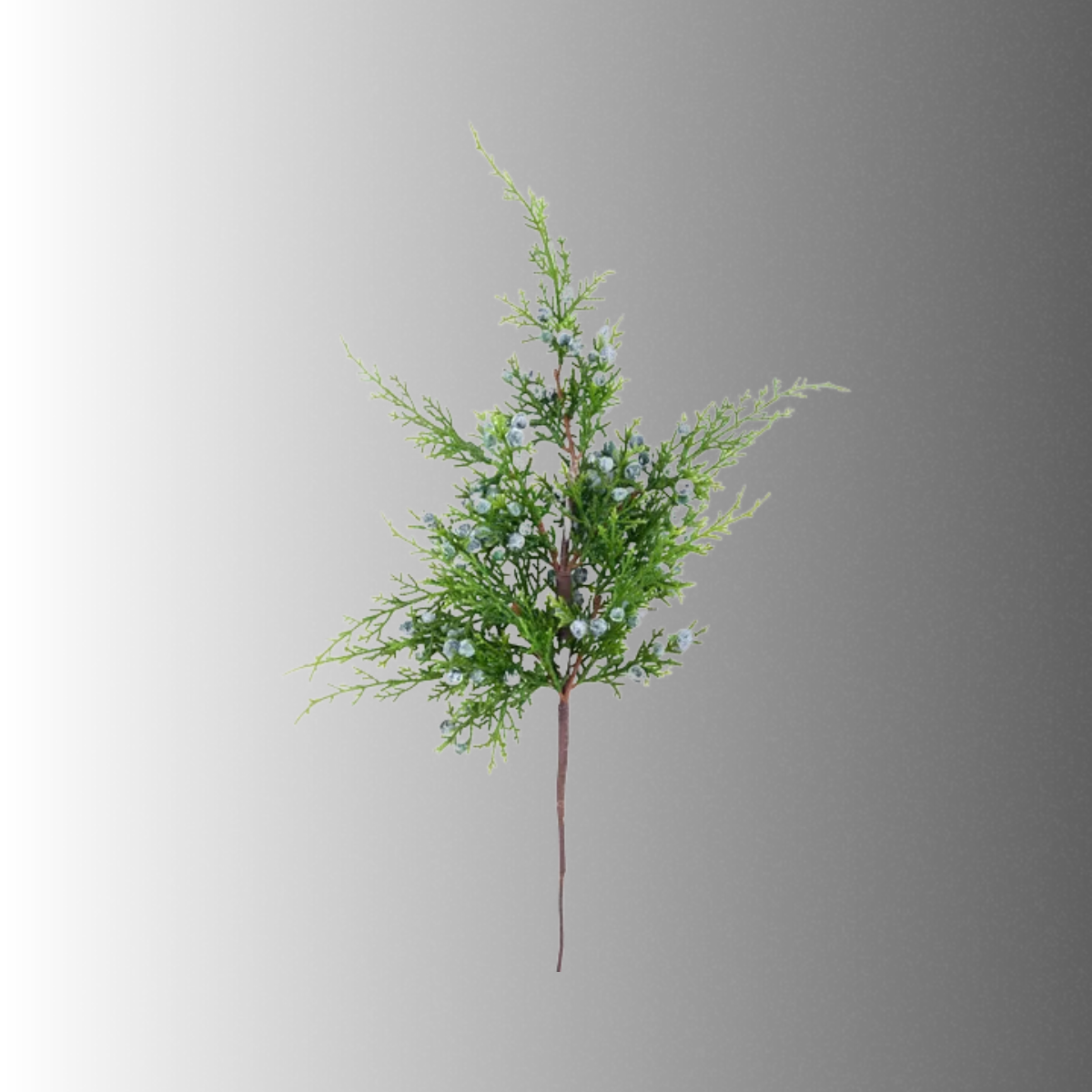 Oregon Juniper Spray 20 Inch Artificial Greenery-XV7305 Craig Bachman