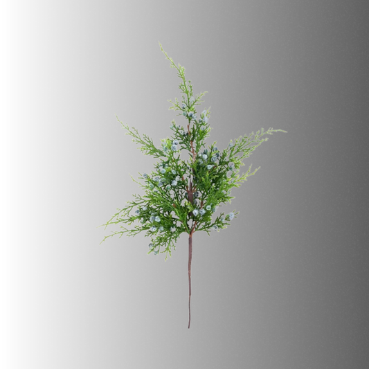 Oregon Juniper Spray 20 Inch Artificial Greenery-XV7305 Craig Bachman