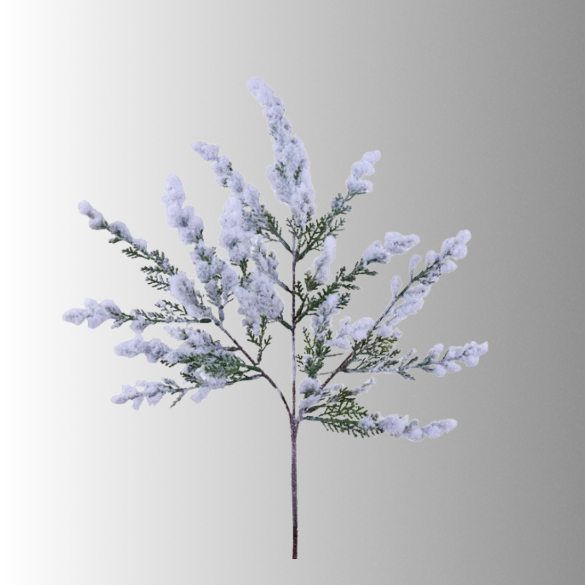 Flocked Arborvitae Spray 18 Inch Winter Greenery-XX9667 Craig Bachman