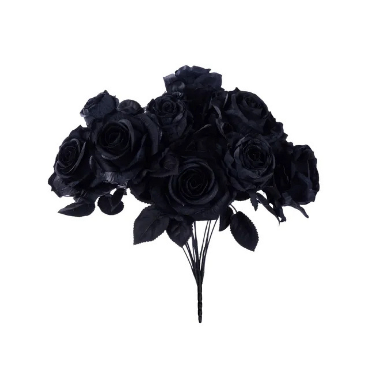 Black Rose Bush – 20" Artificial Fabric Roses & Buds-FN171902 Craig Bachman