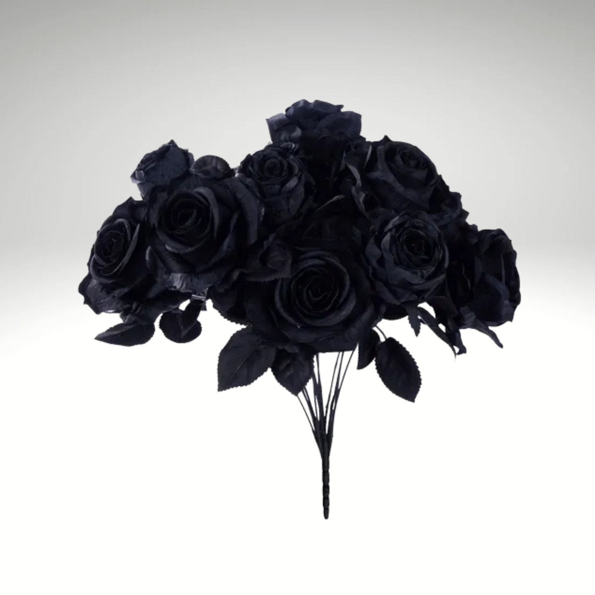 Black Rose Bush – 20" Artificial Fabric Roses & Buds-FN171902 Craig Bachman