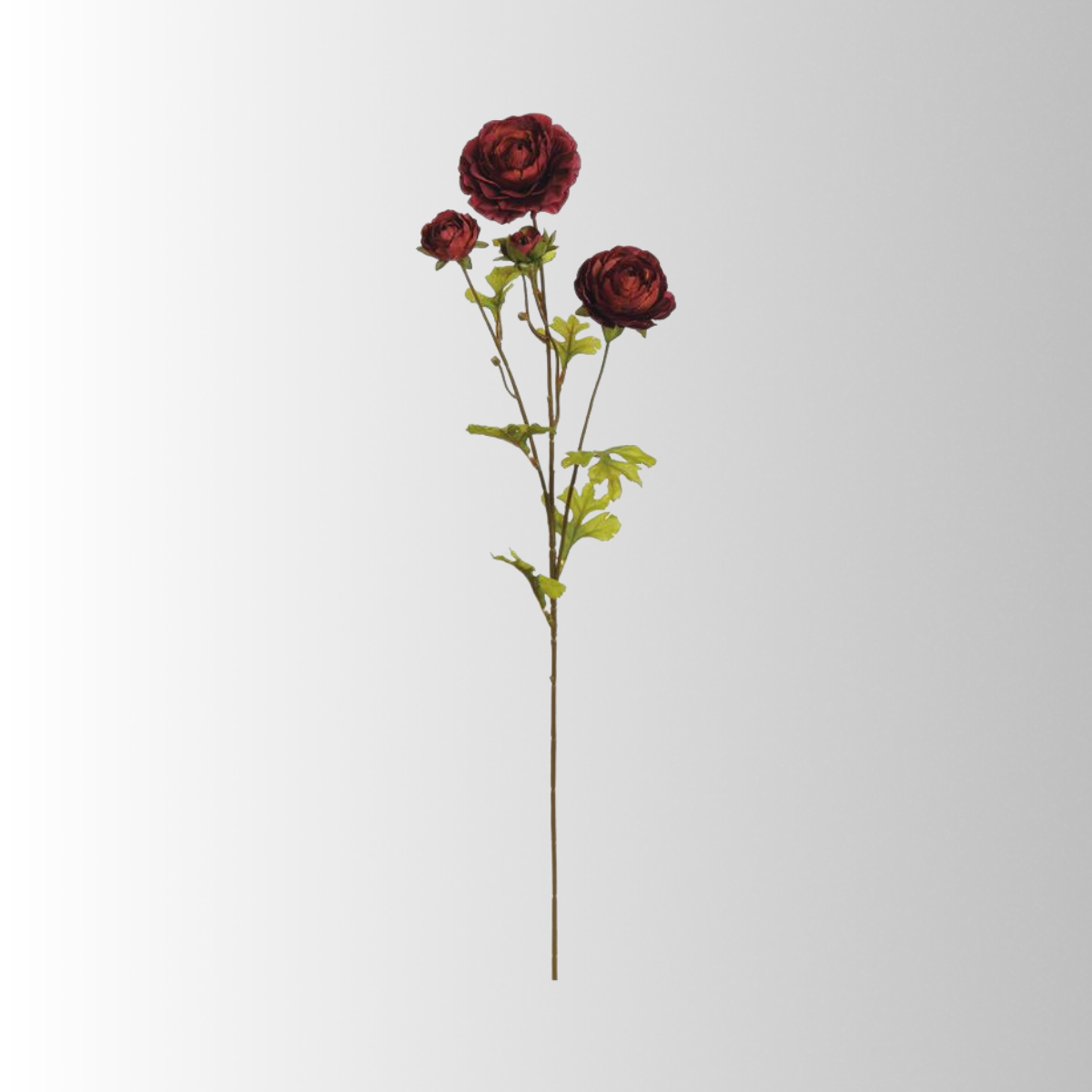 26" Burgundy Ranunculus Spray for Fall Floral Arrangements-5934-BU Select Artificials