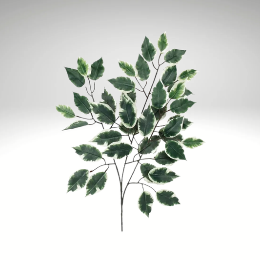 Artificial Green/White Ficus Spray 23 Inch – Faux Greenery Stem for Wreaths & Arrangements-FG505431 Craig Bachman