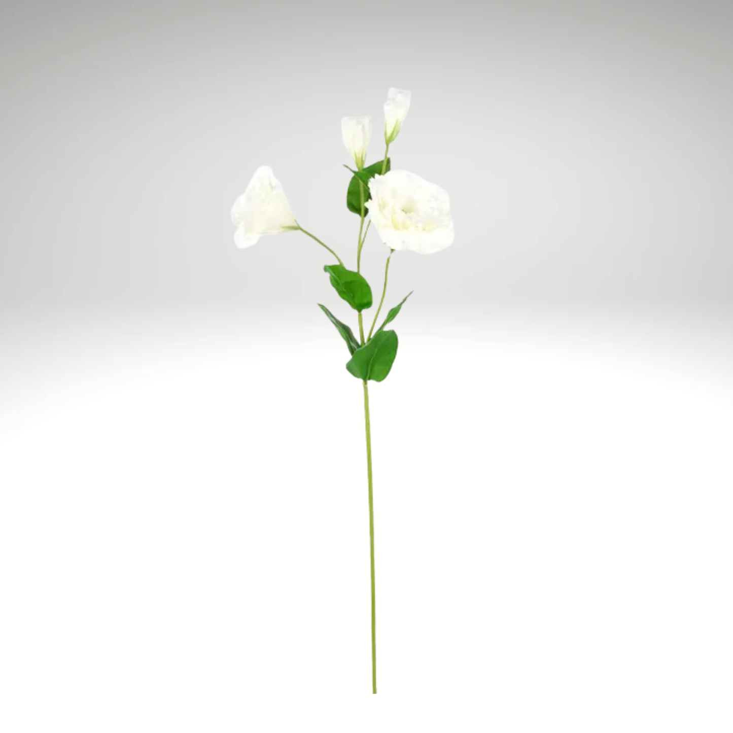 Real Touch White Lisianthus Spray | 24.5" Artificial Floral Stem-FL001827 Craig Bachman