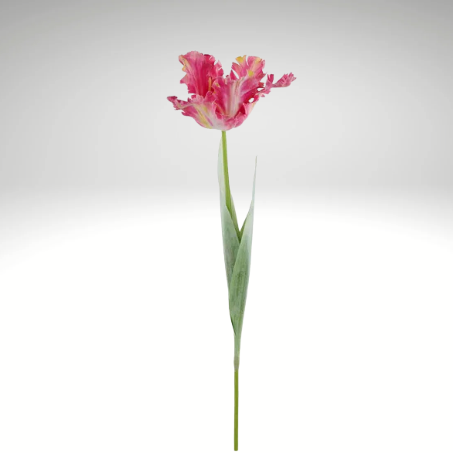 Parrot Tulip Stem Dark Pink Yellow | 27" Artificial Flower-FS383394 Craig Bachman