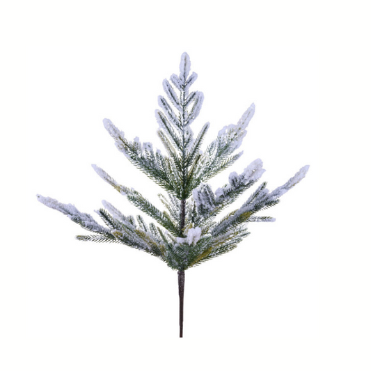 20" Flocked Norfolk Pine Pick – Green & White Holiday Stem-XX9659 Craig Bachman