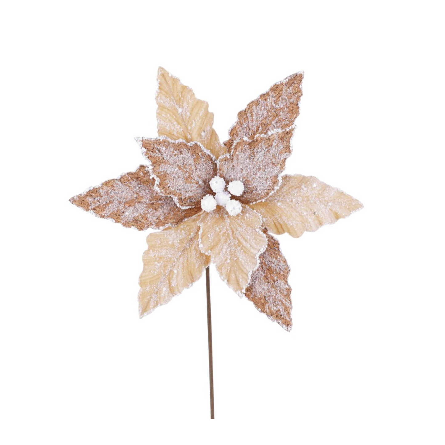 20"x12" Frosted Natural Poinsettia Stem – Neutral Holiday Pick-253379 Direct Export