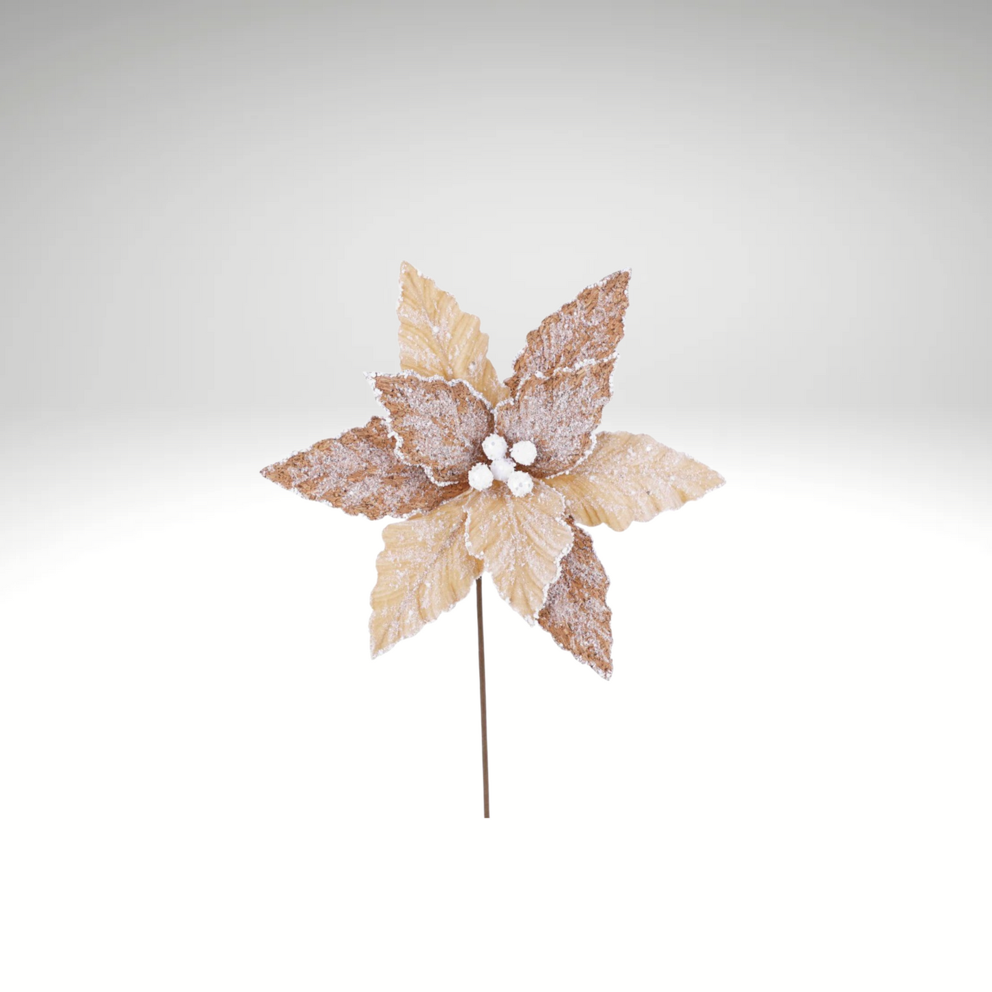 20"x12" Frosted Natural Poinsettia Stem – Neutral Holiday Pick-253379 Direct Export