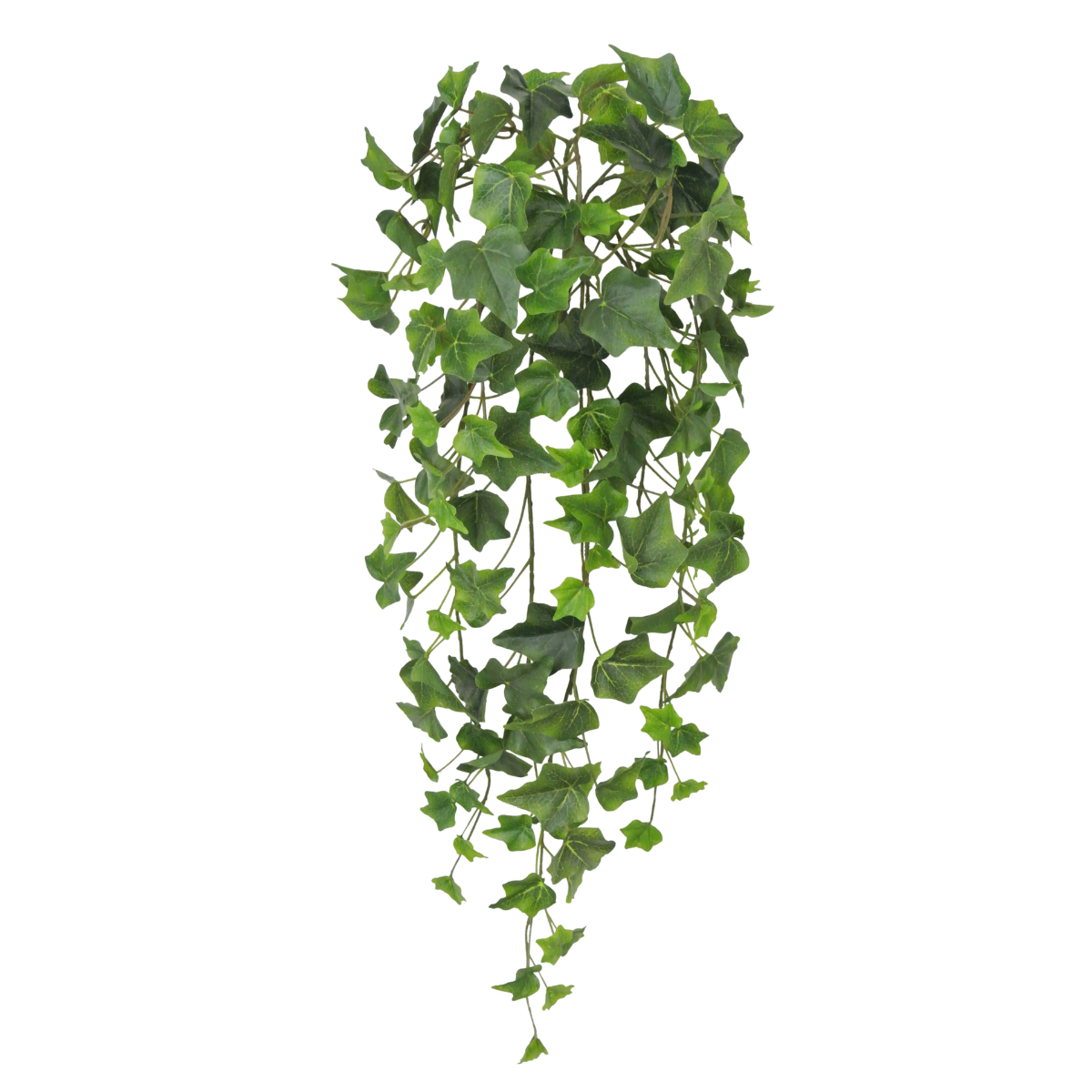 Real Touch Ivy Hanger | Trailing Green Vine Greenery | 28" Hanger-80241-GN Golden Bell