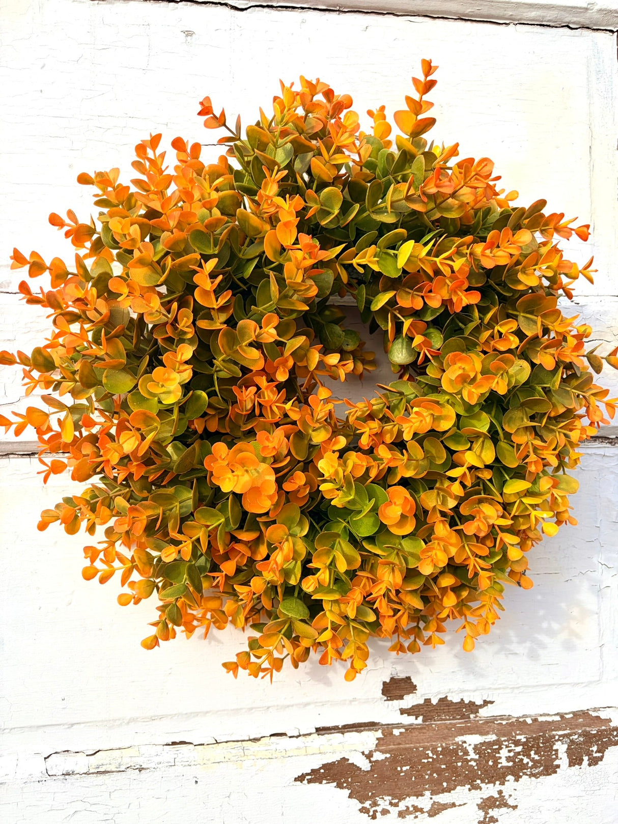 Small Fall Boxwood Wreath | 15" Autumn Front Door & Thanksgiving Decor TCTCrafts