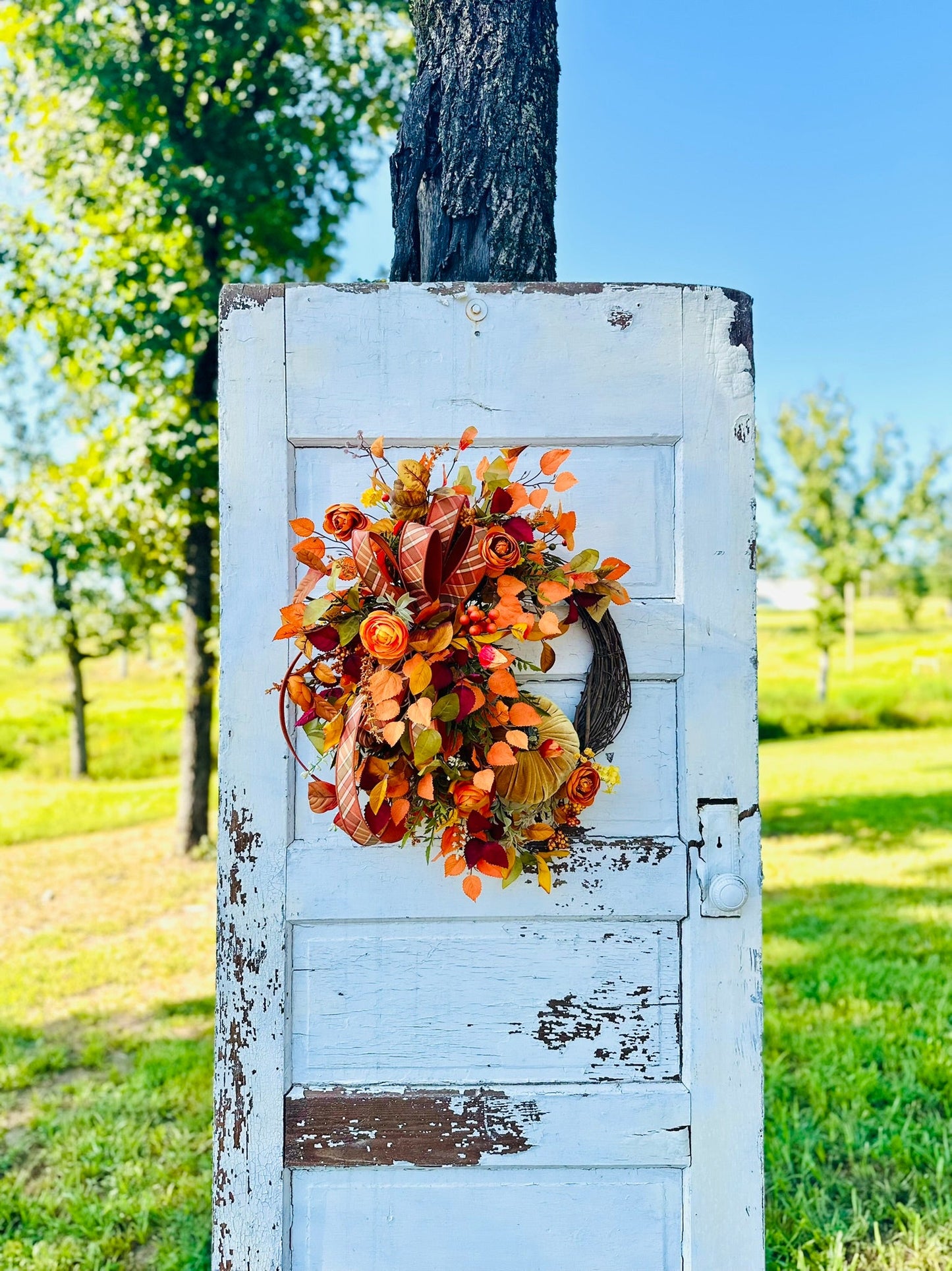 Fall Grapevine Pumpkin Wreath with Velvet Pumpkins, Ranunculus, Leaves, Berries & Designer Ribbon TCT Crafts