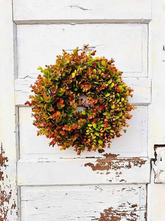 Small Fall Boxwood Wreath | 15" Autumn Front Door & Thanksgiving Decor TCTCrafts
