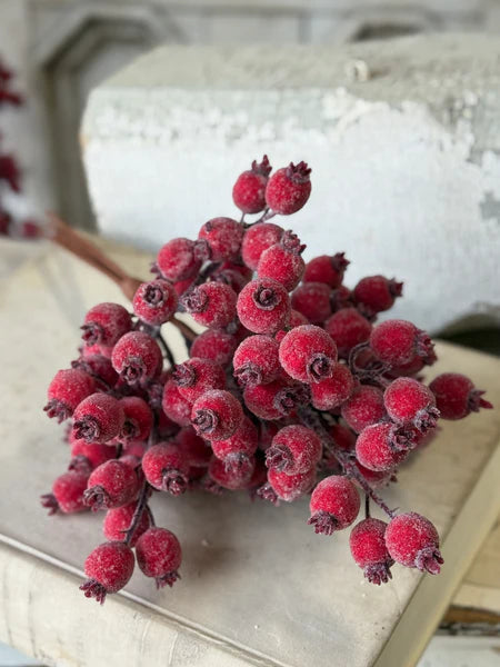Iced Everberry Bundle — 18 Inch Frosted Red Berry Christmas Wreath Supply-XLA4665 Lancaster & Vintage