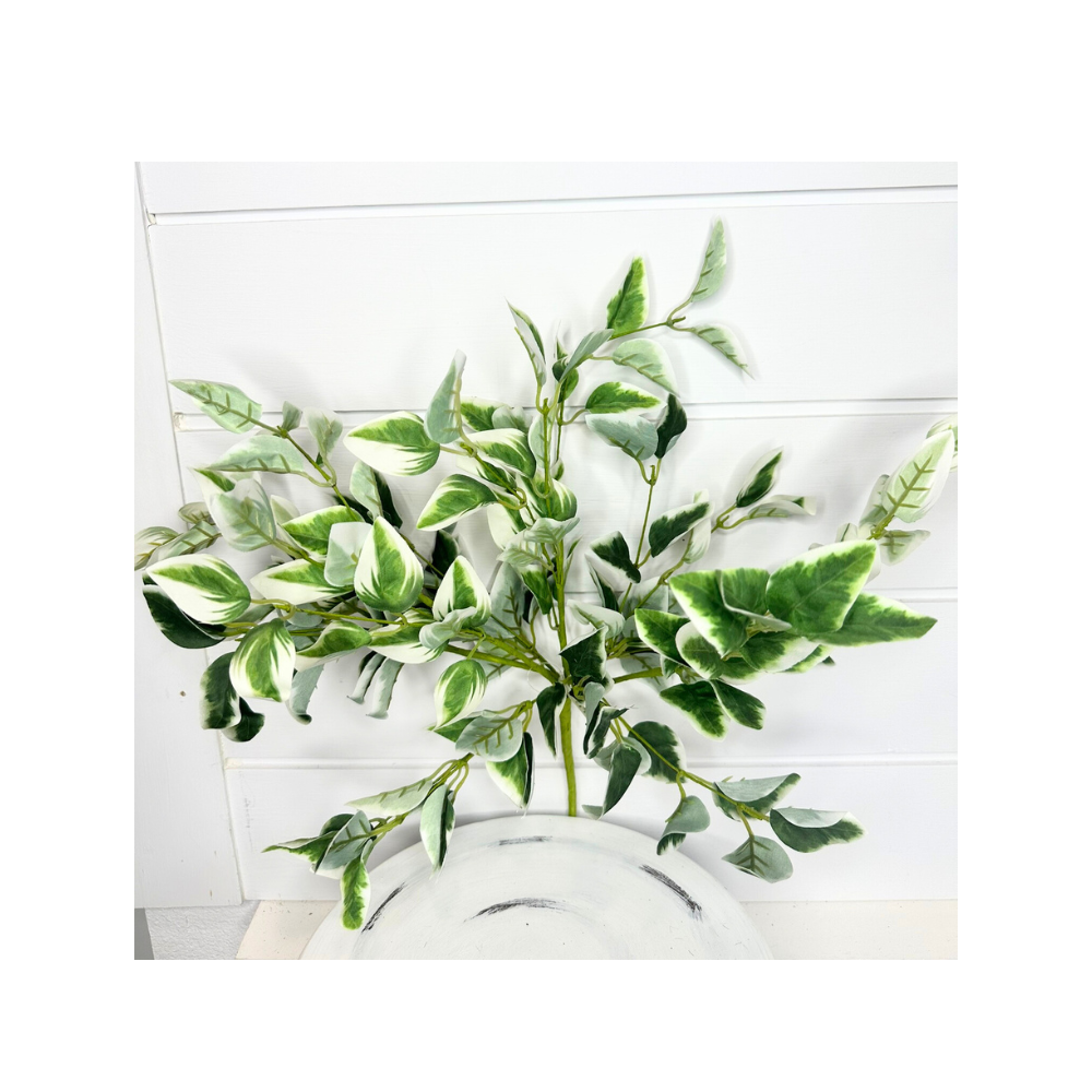 18" Arrow Ivy Bush in Green/Cream - Greenery Accent for Decor - Perfect for DIY Arrangements and Centerpieces- (PM3020-GC) Select Artificials