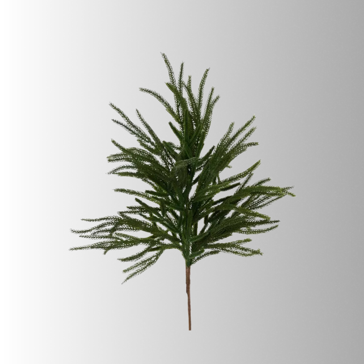 Mixed Ming Pine Spray 30 Inch Artificial Greenery-XX973509 Craig Bachman