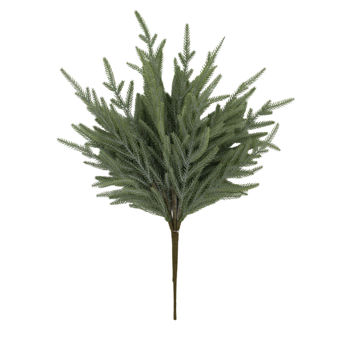Norfolk Pine Bush | Natural Greenery Filler Stem | 22" Bush-65889 Golden Bell
