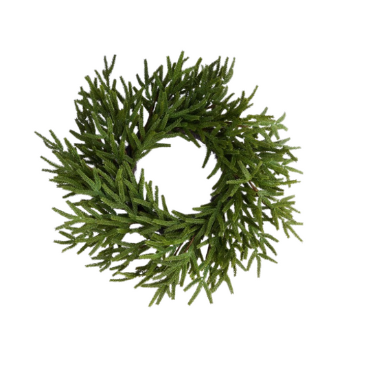 24" Norfolk Pine Wreath | Artificial Greenery Wreath for Holiday & Everyday Decor-XX9414 Craig Bachman