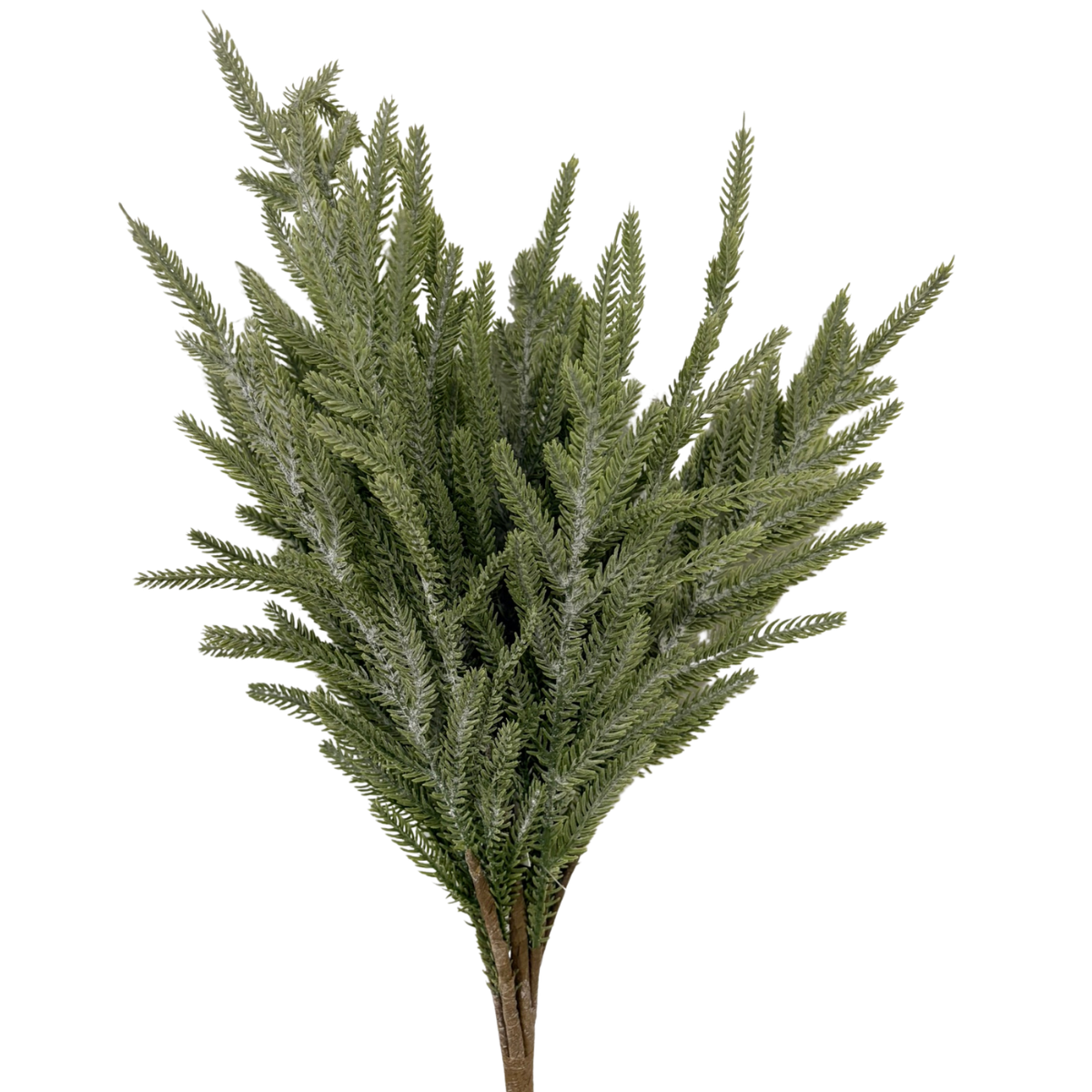 Norfolk Pine Bush | Natural Greenery Filler Stem | 22" Bush-65889 Golden Bell