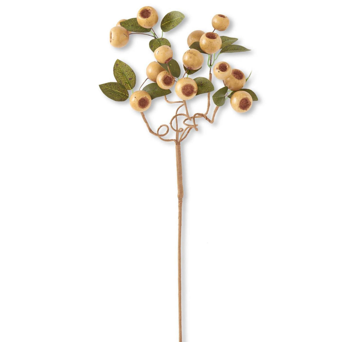 Artificial Olive Pod Stem (Qty 1) with Green Leaves — 19 Inch Neutral Wreath Supply-14251A-OL K & K Interiors
