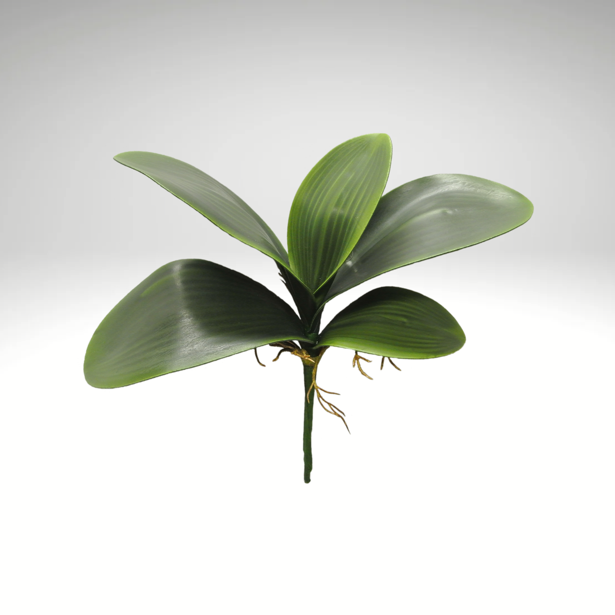 12 Inch Artificial Orchid Leaves Bush for Floral Arrangements and Planters-58806 Golden Bell