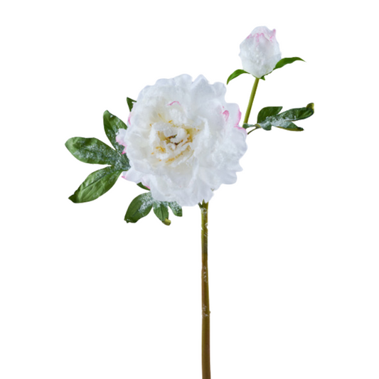 22" Artificial Snowy Peony Spray | White Winter Floral Stem for Christmas & Weddings-FS386127 Craig Bachman