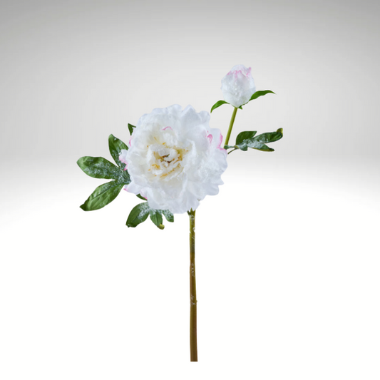 22" Artificial Snowy Peony Spray | White Winter Floral Stem for Christmas & Weddings-FS386127 Craig Bachman