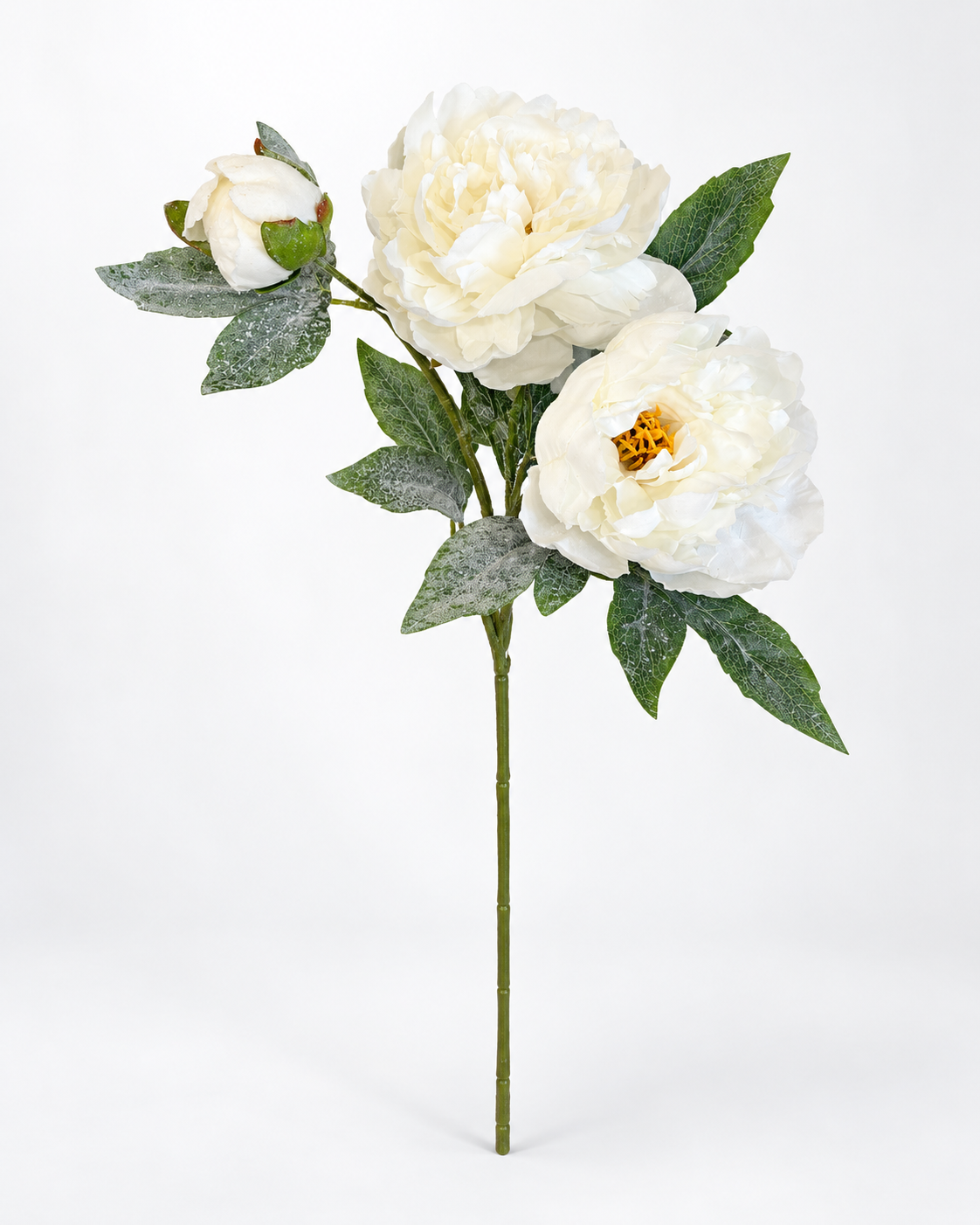 Snowy Cream Peony Spray | Frosted Winter Floral Stem | 25.5" Spray-XM14832-CR Green Import