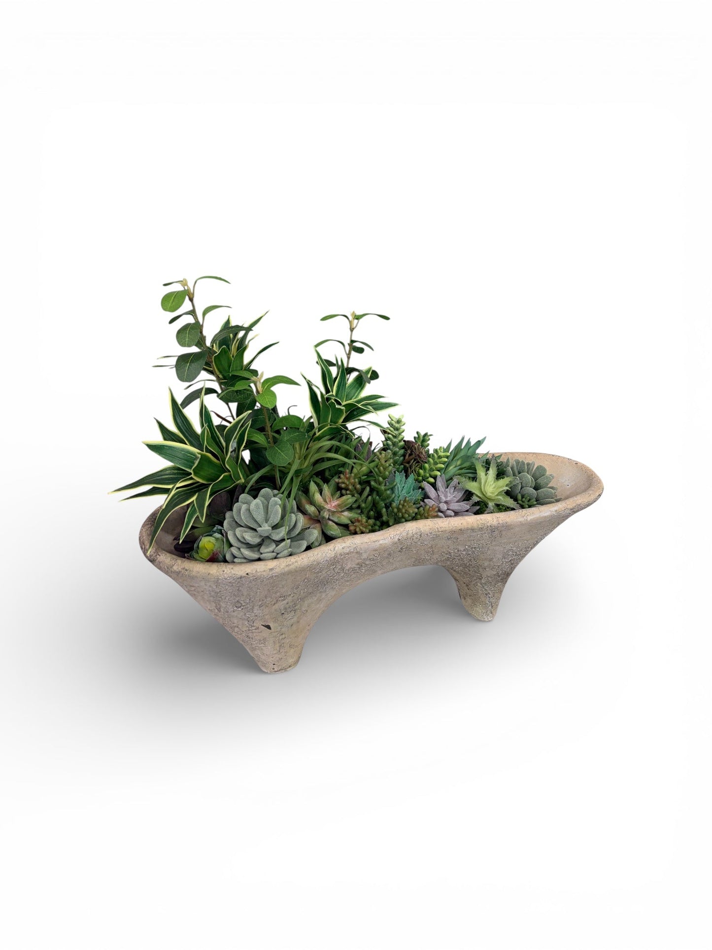 Succulent Arrangement in Cement Planter | Neutral Modern Centerpiece TCT Crafts