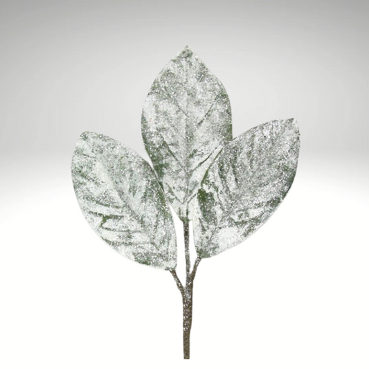Snowy Magnolia Leaf Pick | 15" Frosted Artificial Stem for Holiday Decor-XX7890 Craig Bachman