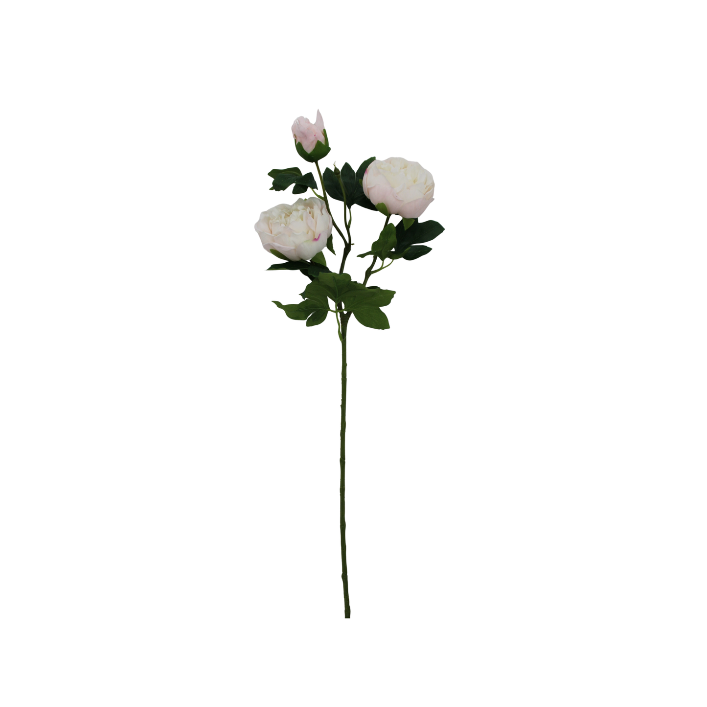 Soft Touch Peony Stem Cream Pink Floral-85464-CRPK Golden Bell