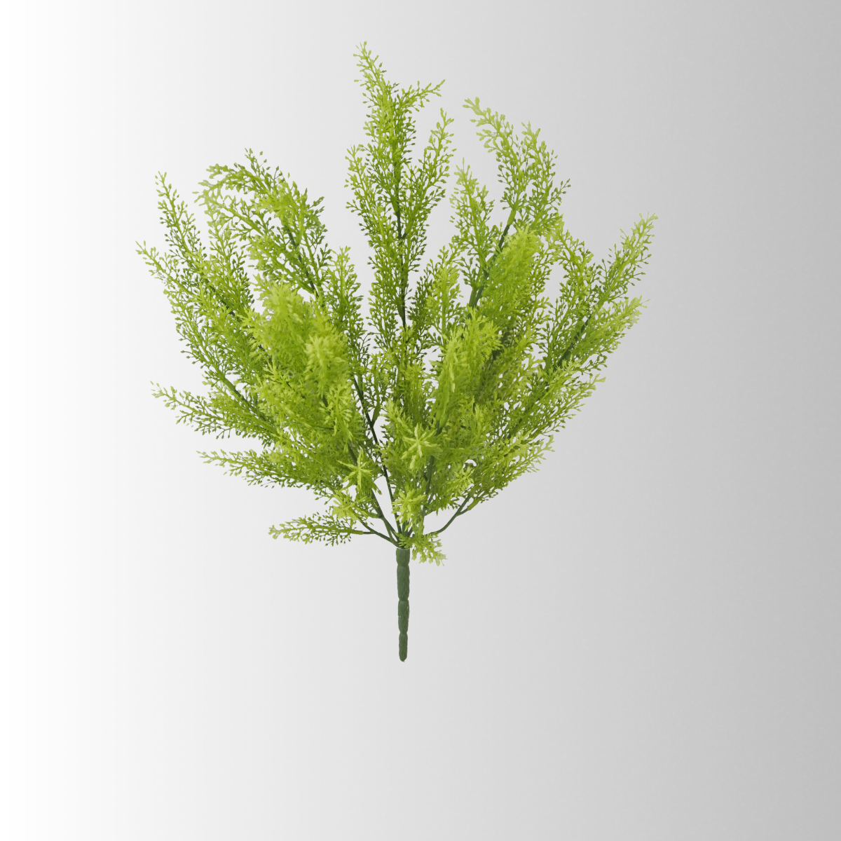 Sorghum Bush x9 | Feathery Green Foliage Filler | 20" Bush-81582-GN Golden Bell