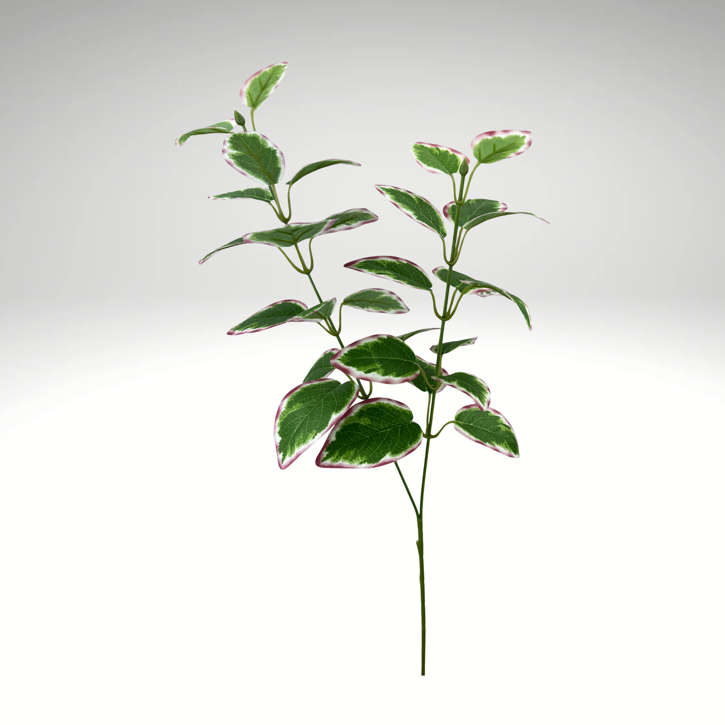 27" Vinca Leaves Spray | Variegated Greenery-13694MVGN TCTCrafts