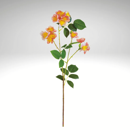 26" Wild Cottage Garden Rose Spray | Coral Faux Floral Stem