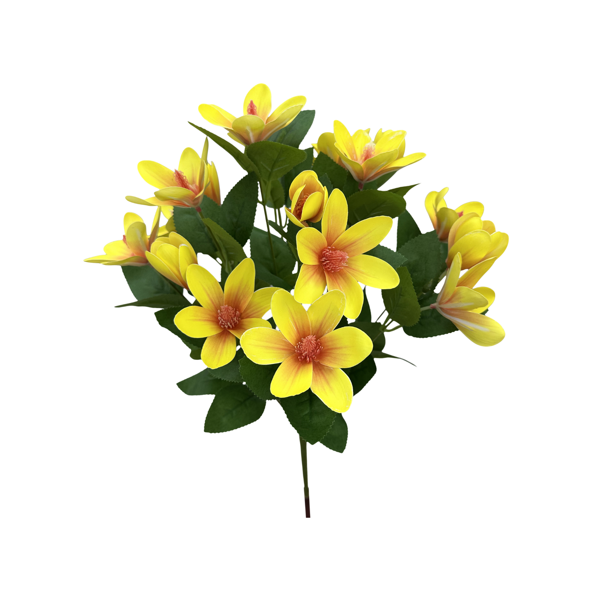 20" Japanese Magnolia Bush x7 | Yellow Magnolia Floral Bush-64010YW Liberty Floral