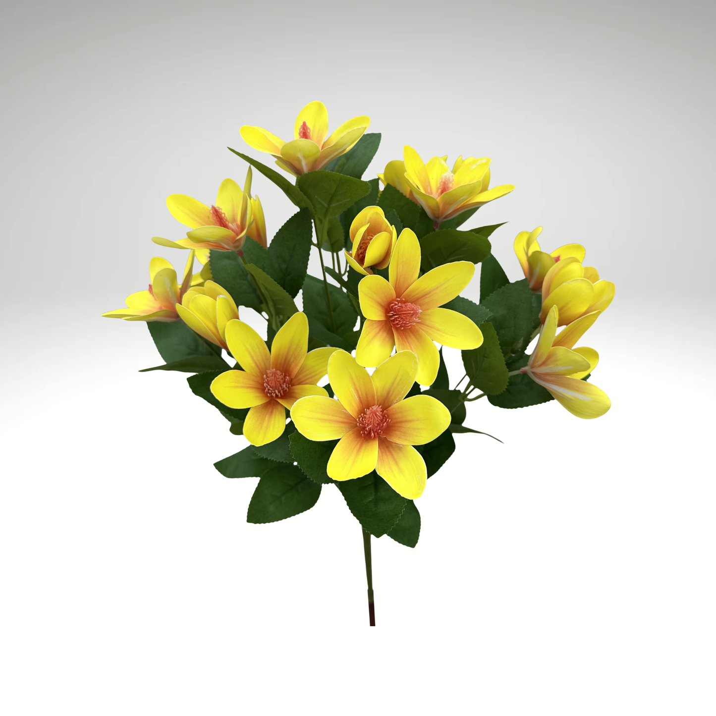 20" Japanese Magnolia Bush x7 | Yellow Magnolia Floral Bush-64010YW Liberty Floral