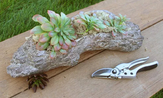 Driftwood Cement Planter 13 Inch Rustic Container-MX027631 Craig Bachman