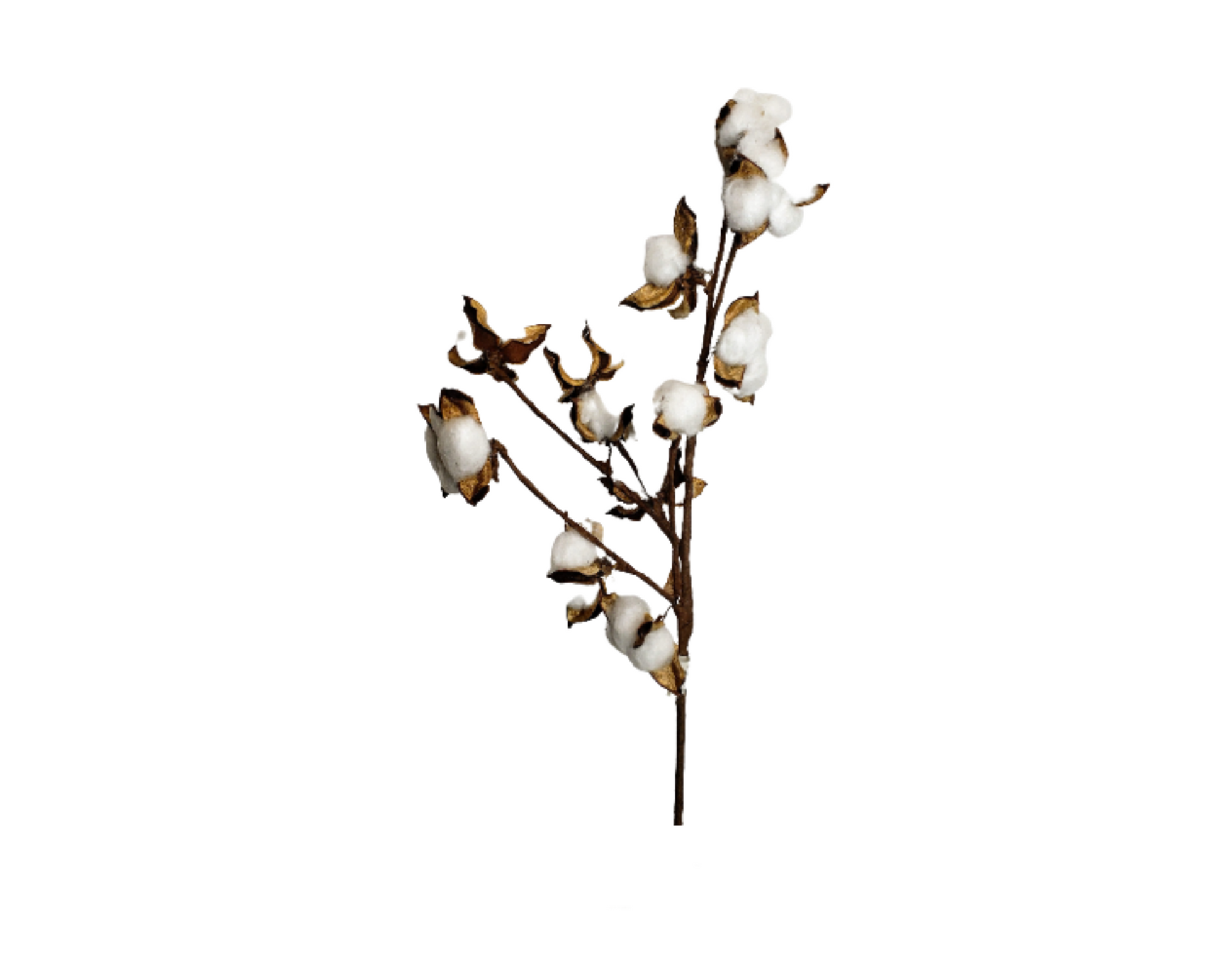 Natural Elegance: 18.5-Inch Artificial Cotton Spray-FH7539 TCT Crafts