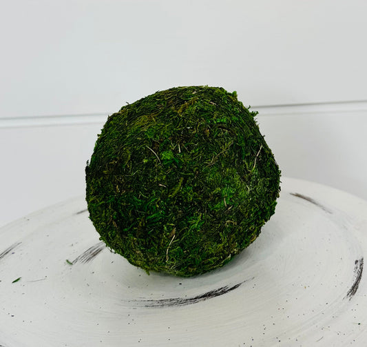 Natural Beauty: 4-Inch Moss Ball Decorative Bowl Filler TCT Crafts