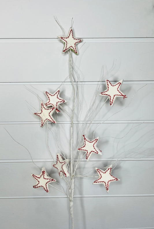 Patriotic Star Pick - Festive Decor for Patriotic Celebrations-134192 TCT Crafts