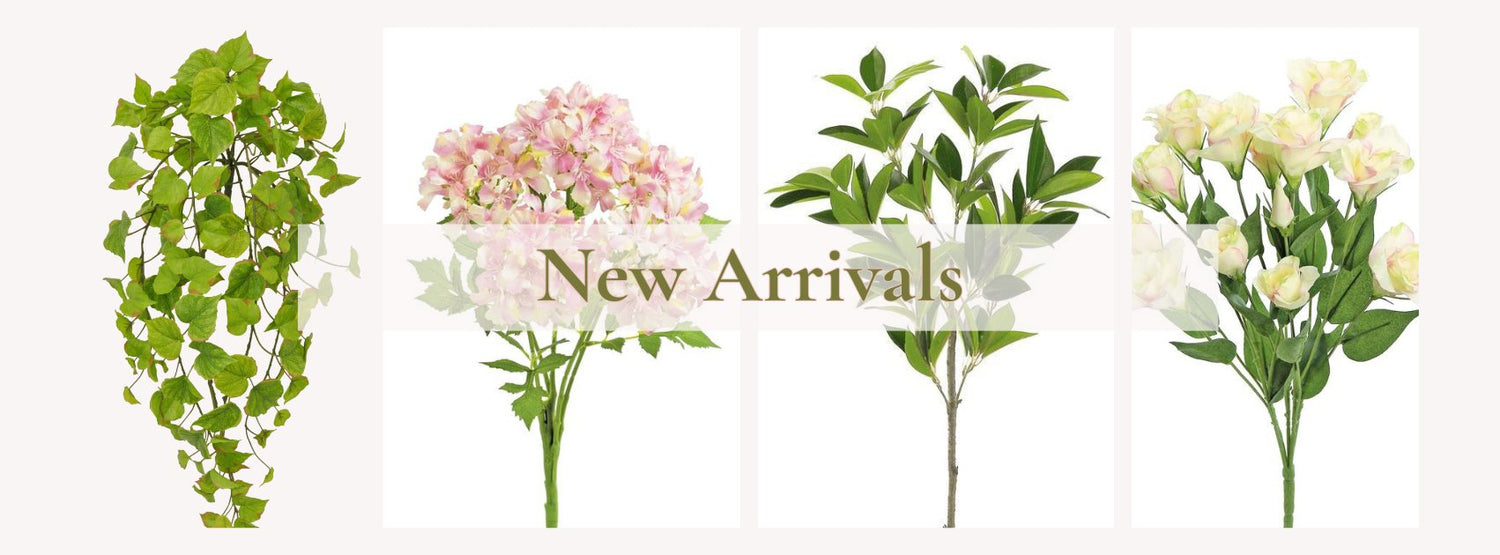 New Arrivals