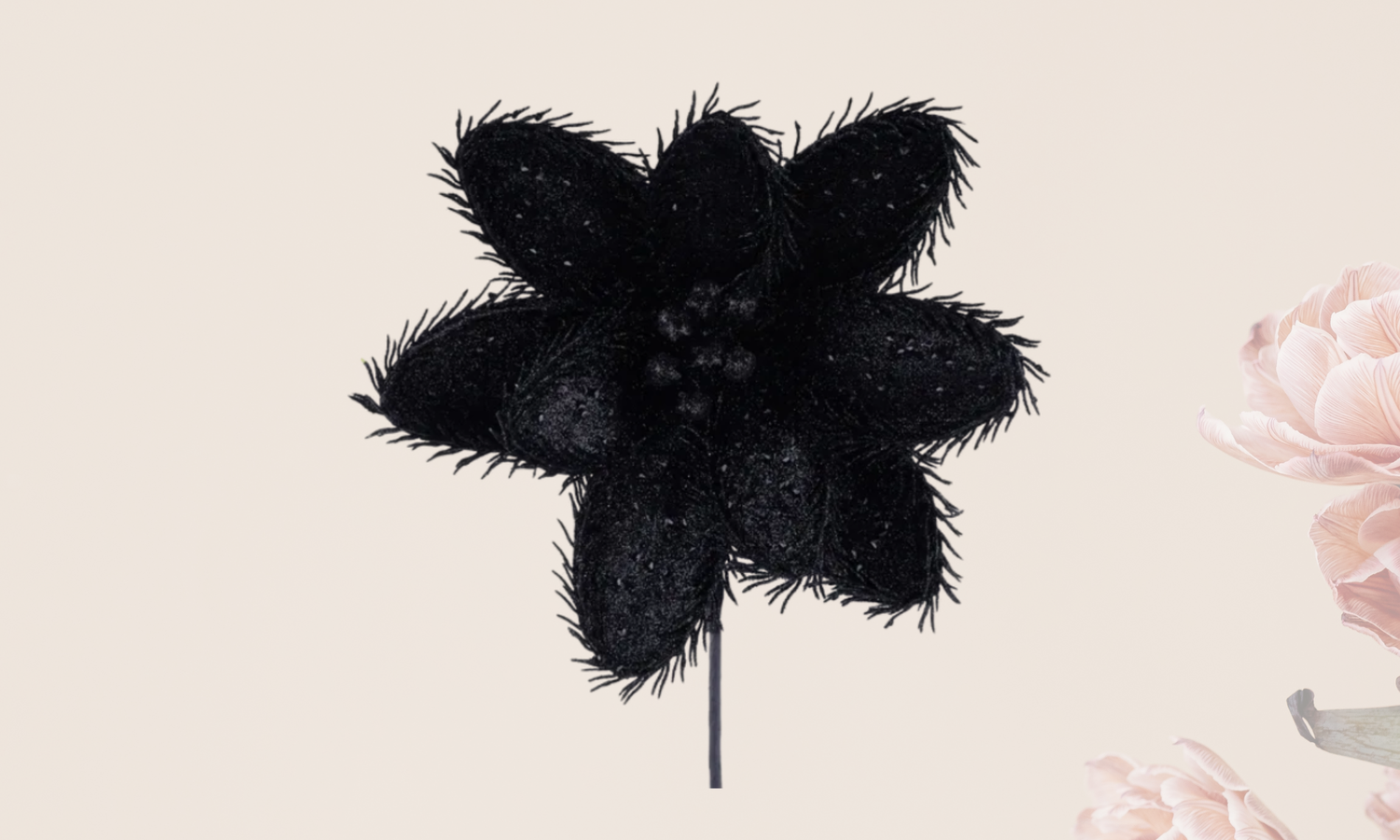 Halloween Collection