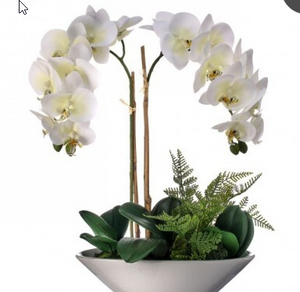 20" Artificial Phalaenopsis Orchid Arrangement | Faux White Orchid in Ceramic Bowl