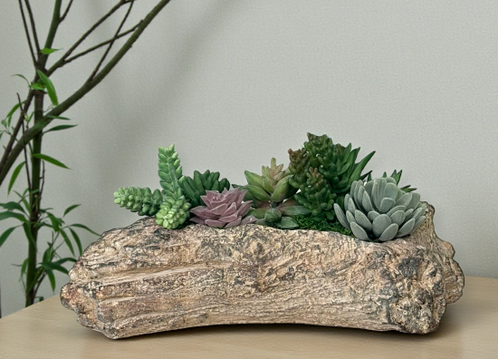 Faux Succulent Driftwood Planter | Rustic Cement Centerpiece Decor TCT Crafts