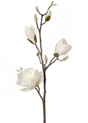 Frosted White Magnolia Spray 32"-MTX70608 Regency