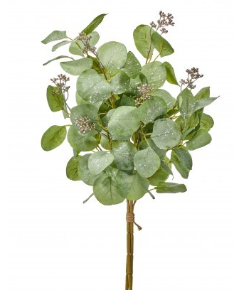 Frosted Eucalyptus Bundle Set of 3 | Silver Dollar Foliage Stems | 21" Bundle MTX78161 Regency