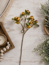 Artificial Olive Pod Stem with Green Leaves — 19 Inch Neutral Wreath Supply-14251A-OL K & K Interiors